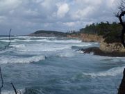 ハンニバルさんの荒磯遊歩道の投稿写真1