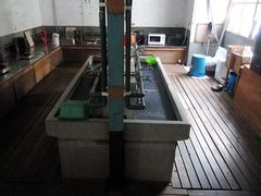 未明花さんの″新日本百名湯″″日本温泉遺産″に指定 秘湯宿「藤三旅館」への投稿写真3