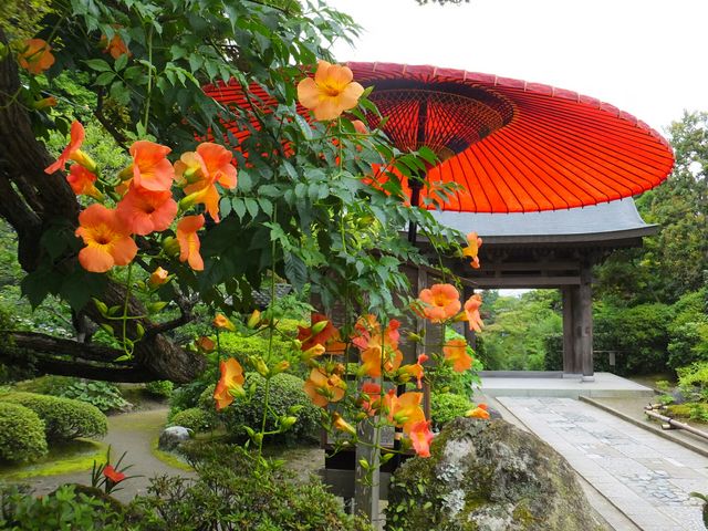 海蔵寺