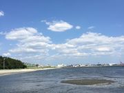 ぐっちさんのふなばし三番瀬海浜公園・ふなばし三番瀬環境学習館の投稿写真1