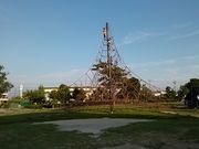 ドラさんの安城市総合運動公園の投稿写真4