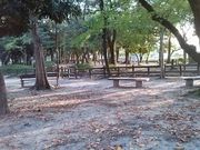 ドラさんの安城公園の投稿写真4