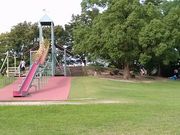ドラさんの堀内公園の投稿写真4