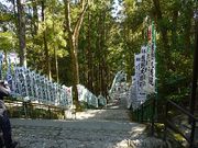 マックさんの熊野大社の投稿写真2