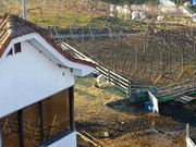 未明花さんのまるき葡萄酒の投稿写真1