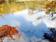 リクルさんの西岡公園の投稿写真1