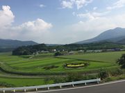 てあくろさんの田んぼアートの投稿写真1