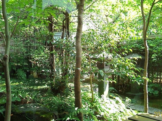 食事するお座敷から見える中庭_元祖本吉屋