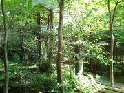 あやるんさんの元祖本吉屋の投稿写真3