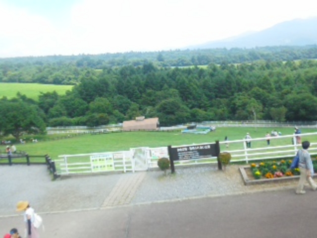 広〜い敷地。晴れていれば、遠くに山々が見えて絶景ですが。。。_山梨県立まきば公園