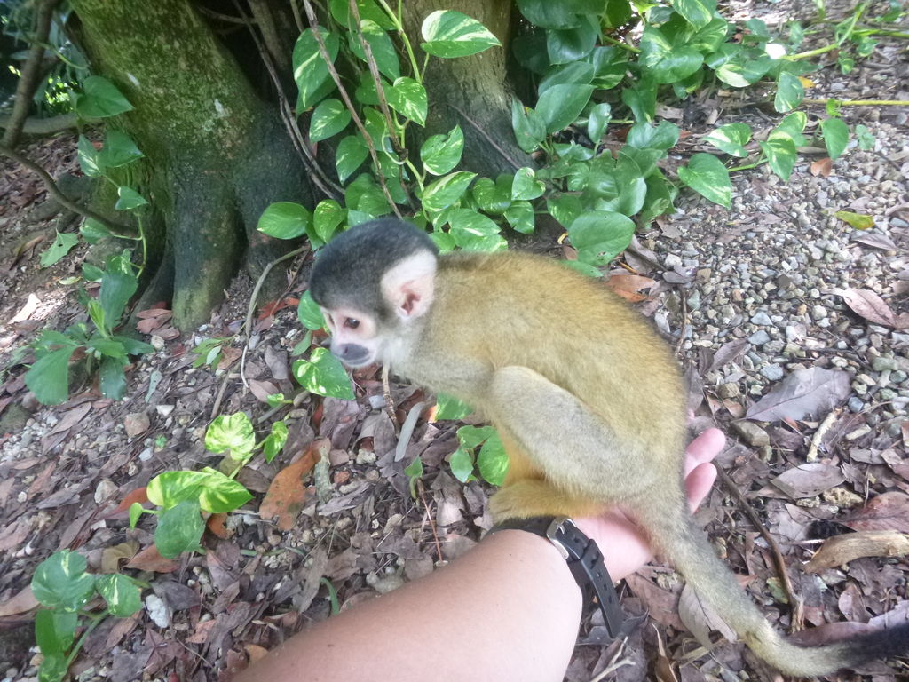 博多 宿泊 比較