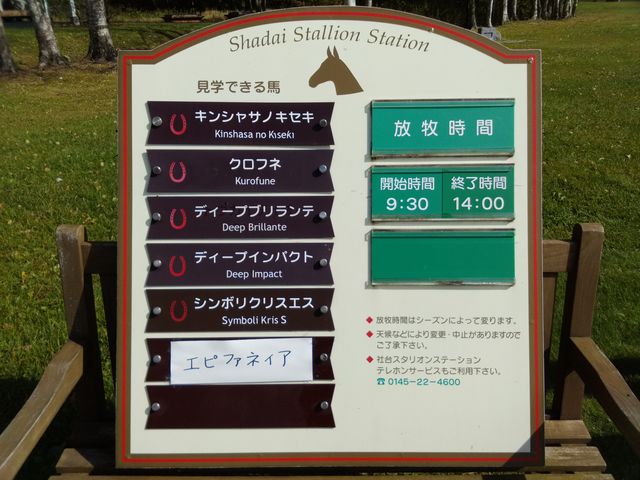 この日の馬達_社台スタリオンステーション