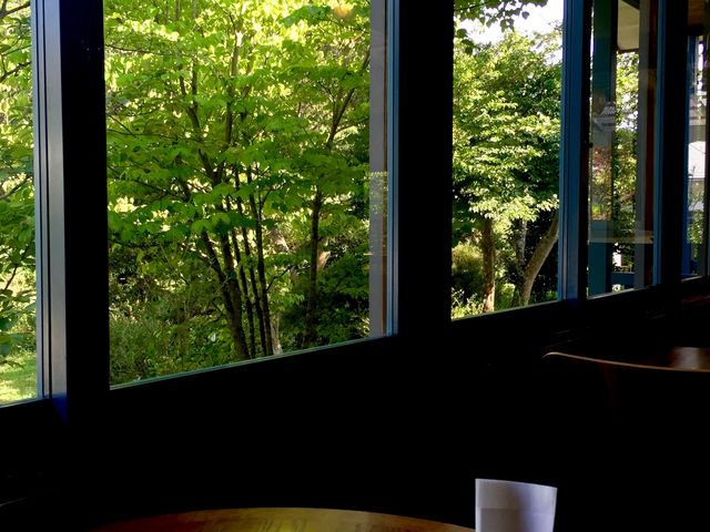喧騒を離れて。_シルクツリーカフェ