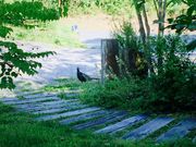 okirakuunさんのシルクツリーカフェの投稿写真1