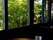 okirakuunさんのシルクツリーカフェの投稿写真1