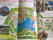 hideさんのわんぱーくこうちの投稿写真1