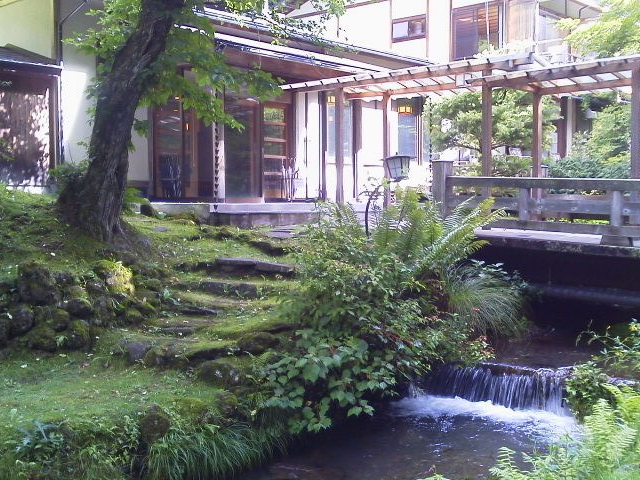 小川に鴨がいました。_小瀬温泉ホテル