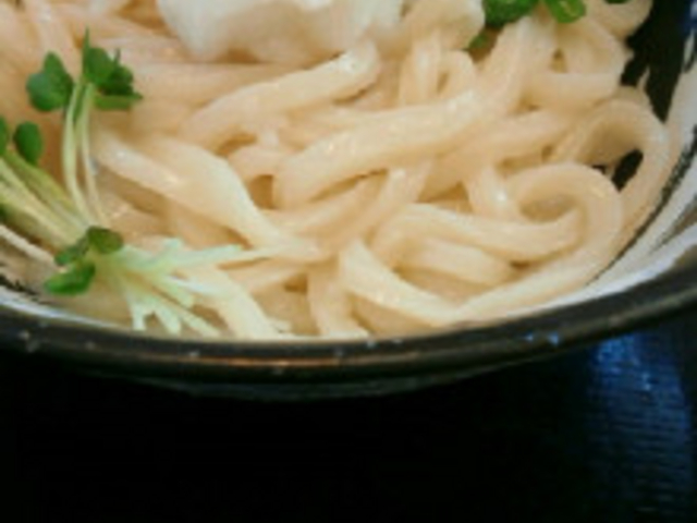 団平 うどん_手打ちうどん 団平