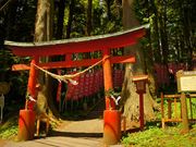 cocoさんの羽黒山神社の投稿写真1