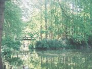 るっころすけさんの長居植物園の投稿写真1