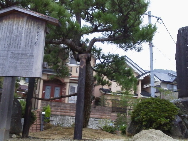 一乗寺下り松