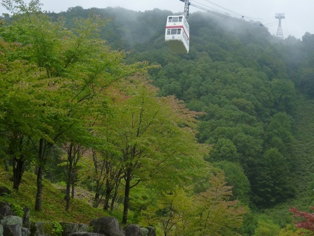 広場よりロープウェイを見上げる_神宝乃湯