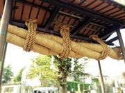 ミナさんの赤城神社の投稿写真1