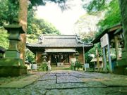 ミナさんの赤城神社の投稿写真2