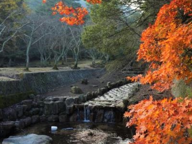 まこさんの大元公園の投稿写真1