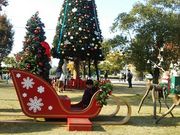 鶴亀松竹梅扇さんのノリタケの森の投稿写真1