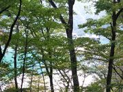 江戸家化猫さんの夏瀬ダム湖の投稿写真1