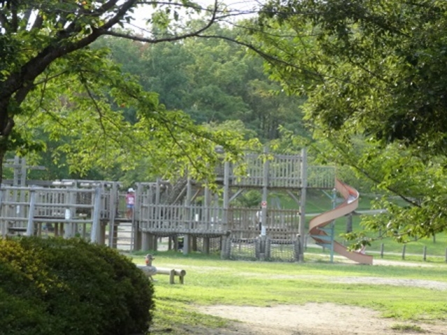 大きなジャングルジム_けいはんな記念公園