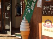 みなちゃんさんの道の駅 しもにたの投稿写真1