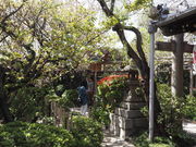 sklfhさんの雨宝院の投稿写真1