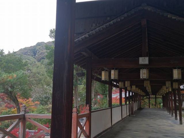 萬福寺_黄檗山萬福寺