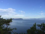 ちーずさんの地中美術館の投稿写真1