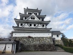 郡上八幡城の写真2