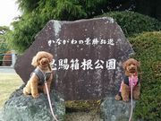 ふ〜さんの恩賜箱根公園の投稿写真1