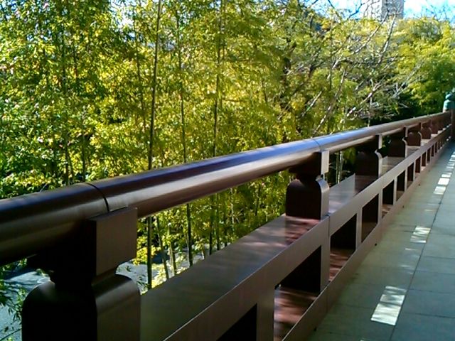 『増上寺の竹林』。_増上寺