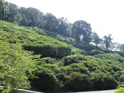 いわぴいさんの三隅公園の投稿写真2