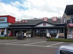 江戸家化猫さんの海陽への投稿写真1