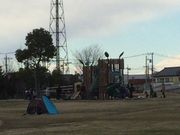 こうへいさんのまつぶし緑の丘公園の投稿写真3