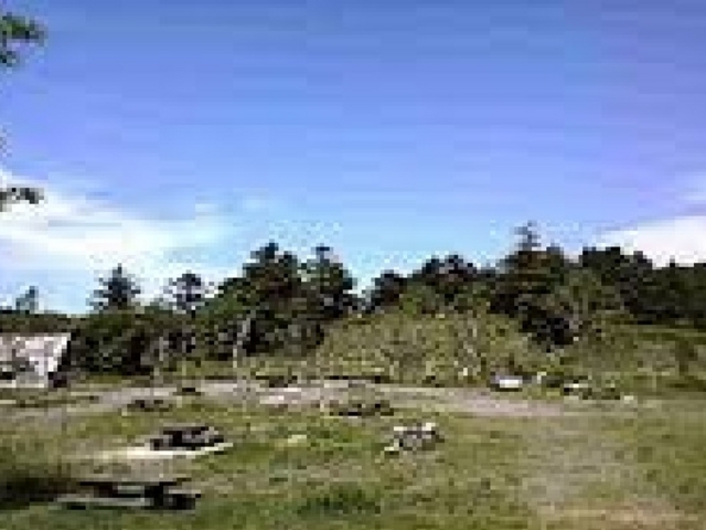 避暑地_もみのき森林公園