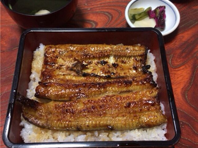 大きくて美味い!_力うなぎ割烹