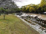むっちさんの広島市中央公園の投稿写真1