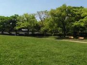 むっちさんの広島市中央公園の投稿写真1