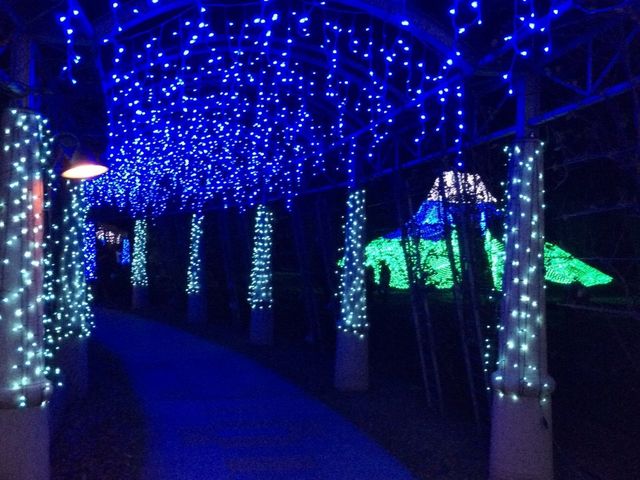 イルミネーション_山梨県フラワーセンター・ハイジの村