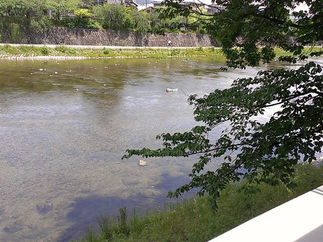 窓からの景色_efish(エフィッシュ)