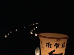 万力公園の写真1