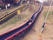 yumeさんの蓮華寺池公園の投稿写真1